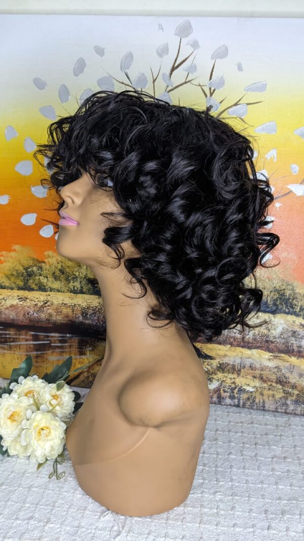 Omotola Bounce Ladies Wig